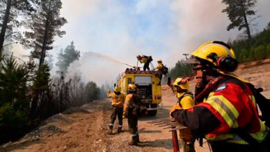 Photo of Incendios: más de doce mil hectáreas afectadas y allanamientos a comunidades mapuches