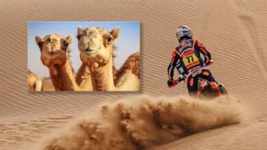 Photo of Benavides y una ayuda tan insólita como inesperada en el Dakar