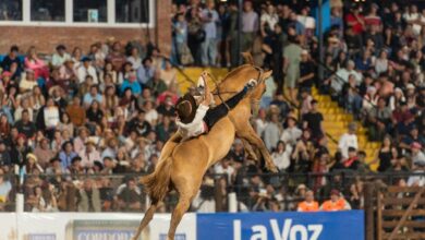 Photo of Resultados completos: ganadores y puntajes de las jineteadas en los Campeonatos Internacionales
