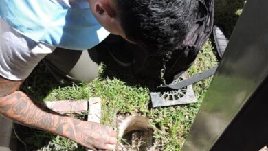 Photo of Dengue: advierten por un alto riesgo de transmisión en Córdoba capital