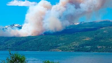 Photo of Mediante un decreto, el Gobierno declara la Emergencia Ígnea en las provincias del sur