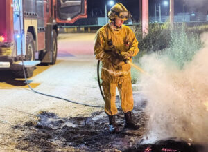 Photo of INCENDIO DE PASTIZALES EN CALLE GÜEMES