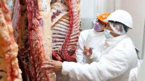 Photo of China impuso cupo y aranceles a la carne Argentina: el impacto en la ganadería