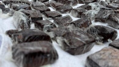 Photo of Más de 6 kilos de brownies «locos» en los alrededores del Cosquín Rock: hay dos detenidos