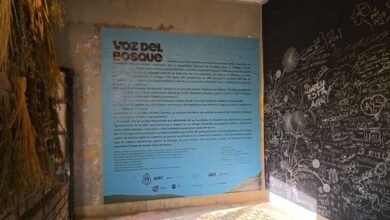 Photo of La intervención “Voz del Bosque” dejó su marca en el Cosquín Rock 2026