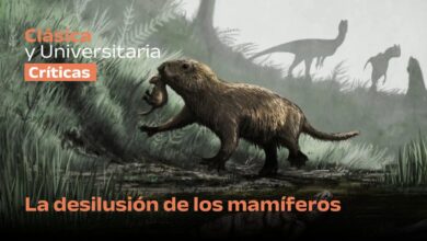 Photo of La desilusión de los mamíferos: “La Ballena» se despide exitosamente del Teatro Comedia