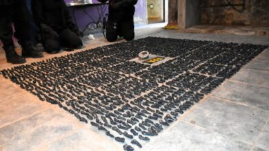Photo of La FPA realizó varios operativos en los que secuestró 25 mil dosis de drogas