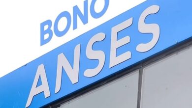 Photo of Bono de Anses: se conocen montos y quiénes cobrarán en mayo