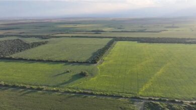 Photo of La mayoría de las economías regionales están en crisis o estancadas, según Coninagro