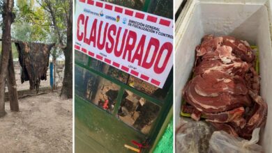 Photo of Hernando: clausuraron establecimientos por faenamiento clandestino