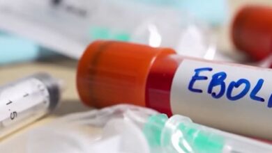 Photo of La OMS emitió un alerta por un brote de ébola en el Congo