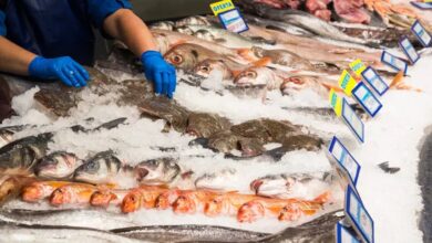 Photo of “Pescado para Todos” en dos barrios de Córdoba: días, horarios y precios