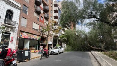 Photo of Cayó un árbol en Nueva Córdoba y hay cortes de tránsito en la zona
