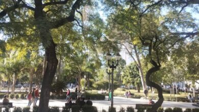 Photo of Mayo se despide con la promesa de reivindicar el otoño: cómo sigue el tiempo