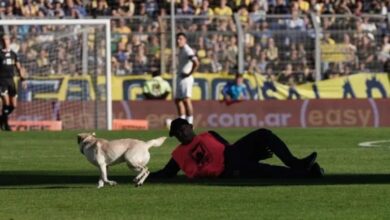 Photo of Un “intruso” se robó el show: el perro que hizo delirar a todo Arroyito