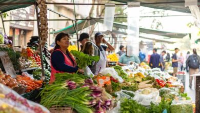 Photo of Las frutas y verduras que produce Córdoba no alcanzan para que sus habitantes coman sano