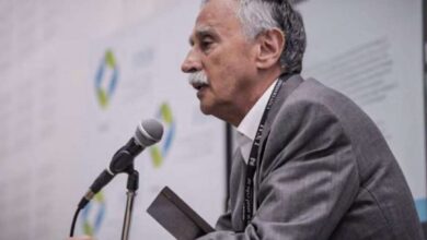 Photo of Brote de hantavirus: el Gobierno respondió a las advertencias de la OMS
